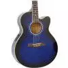 Ibanez AEL 20 E TB
