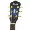 Ibanez AEL 20 E TB