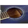 Ibanez AEL 20 E TB