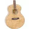 Ibanez EW 20 AS NT