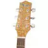 Ibanez EW 20 AS NT