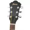 Ibanez SGT 110 VS