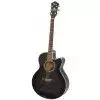Ibanez AEL 20 E TK