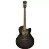 Ibanez AEL 20 E TK