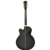 Ibanez AEL 20 E TK