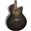 Ibanez AEL 20 E TK