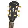 Ibanez AEL 20 E TK