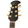 Ovation CC28 RR