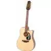 Takamine EG345C