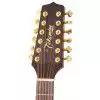 Takamine EG345C