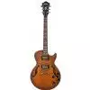 Ibanez AGS 83 BAT