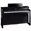 Roland HP 307 PE