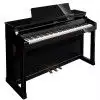 Roland HP 307 PE