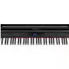 Roland HP 307 PE
