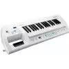 Roland AX-09 WH Lucina