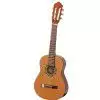 Hoefner HC504 Solid Cedar Top