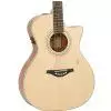 Hoefner HA GC 03