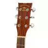 Morrison MBD100 Cutaway EQ