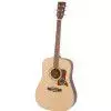 Tanglewood TW 15 NS