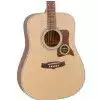 Tanglewood TW 15 NS