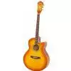 Ibanez AEL 20 E VV