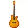 Ibanez AEL 20 E VV