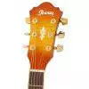 Ibanez AEL 20 E VV