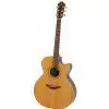 Furch S42-CR