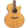 Furch S42-CR
