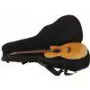 Furch S42-CR