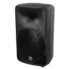 Mackie SRM350 v2