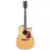 Ibanez AW10CENT