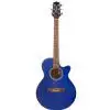 Takamine EG260C TBL