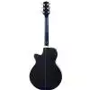 Takamine EG260C TBL