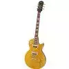 Epiphone Les Paul Slash Appetite