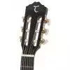 Tanglewood DBT 44