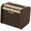 Fishman Loudbox Mini