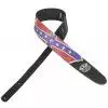 Planet Waves 25LLS01 2,5″ Lynyrd Skynard- FLAG