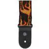 Planet Waves 50F01