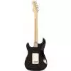 Fender American Stratocaster RW BLK