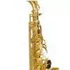 Selmer Paris Serie II Super Action 80 GP