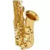 Selmer Paris Serie II Super Action 80 GP