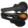 Gibson ES-137C Classic TB