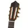 Ever Play Luthier 4S