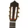 Ever Play Luthier 4C