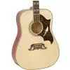 Epiphone DOVE NA