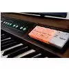 Roland C 200