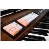 Roland C 200