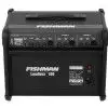 Fishman EX4