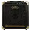 Peavey Ecoustic E20 Peavey Ecoustic E20